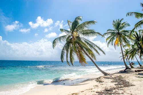 Tropical beach with palms near waving blue sea
