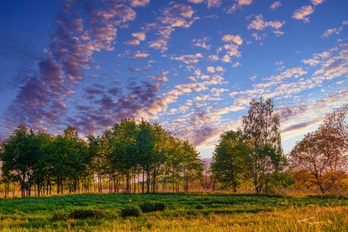 Free Beautiful sunset with colorful sky and trees in a peaceful countryside setting. Stock Photo