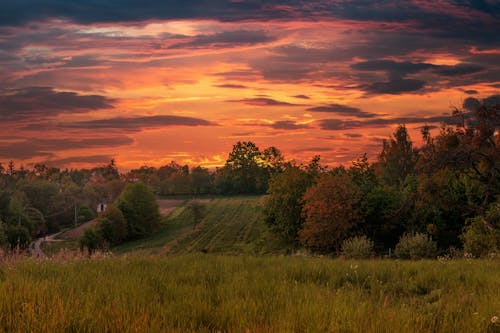 Darmowe zdjęcie z galerii z fotografia przyrodnicza, krajobraz, malowniczy