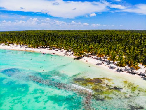 Free Drone view exotic forested beach with sunbathing and swimming tourists near magnificent blue warm sea on sunny clear weather Stock Photo