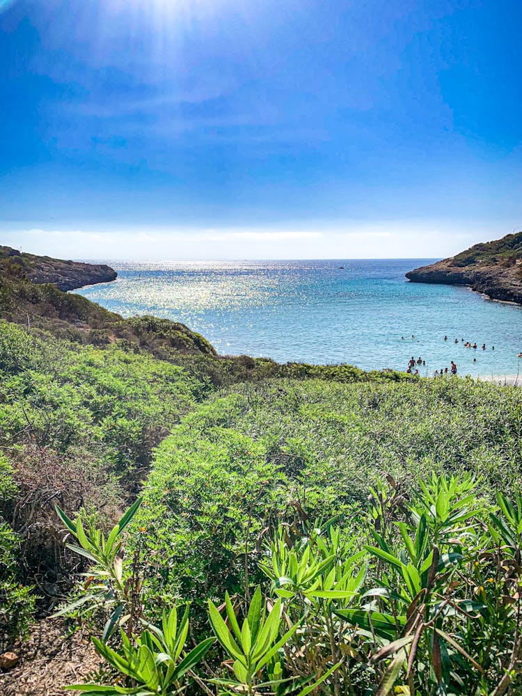 Picturesque Bay Between Green Lush Coast