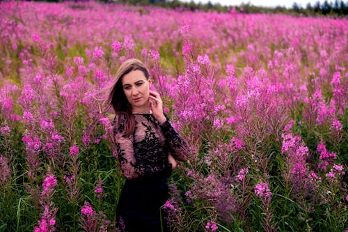 Elegant woman amidst pink flowers in field