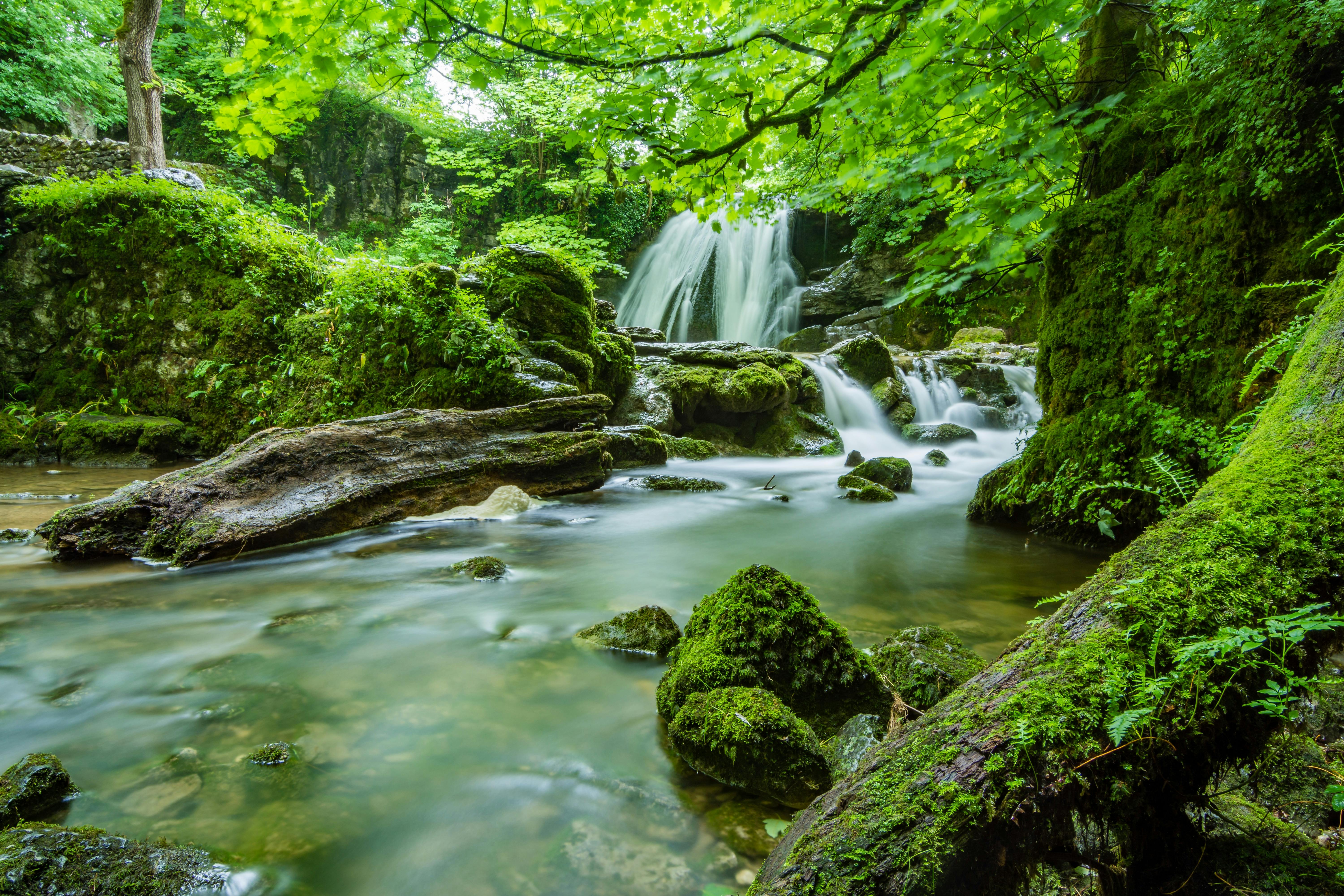 Explorer la Cascade de la Vis à travers les saisons