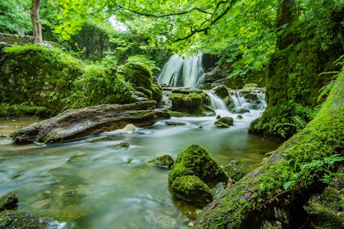 Free Watervallen In Forest Stock Photo