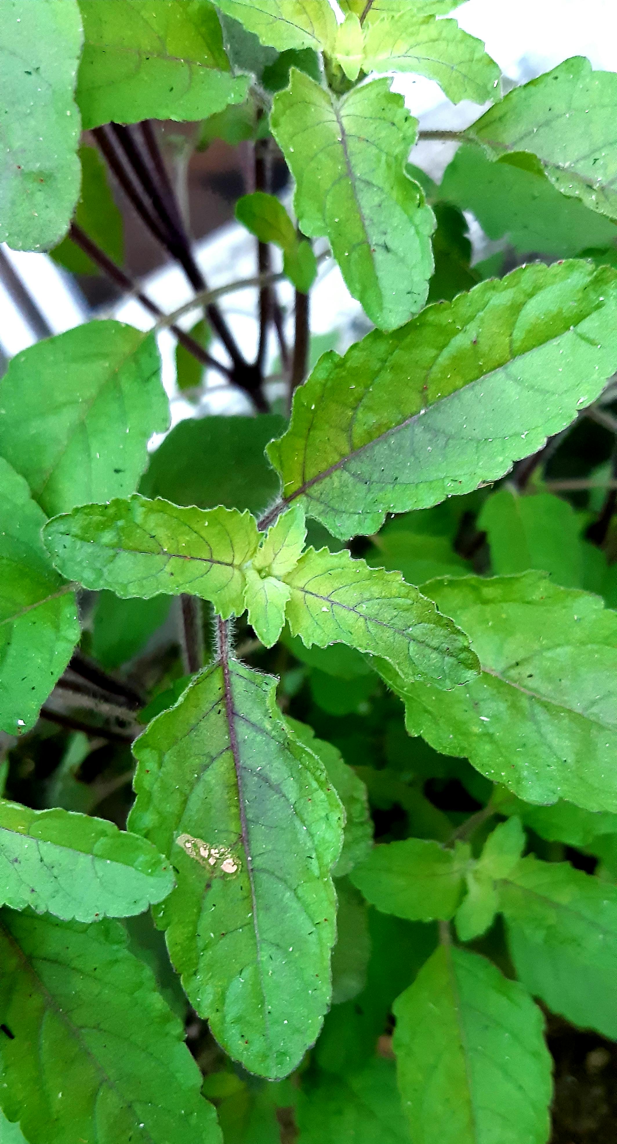 Damaged car on a dark roadway symbolising a serious traffic collision