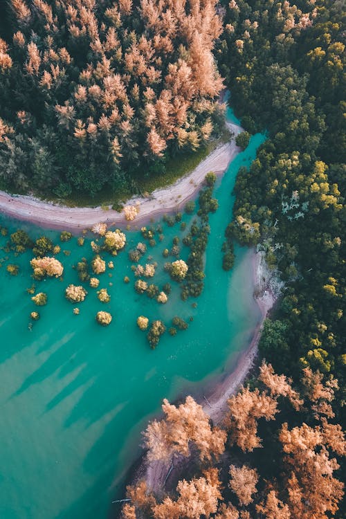 Incredibile Scenario Del Mare Blu Con Foresta Verde