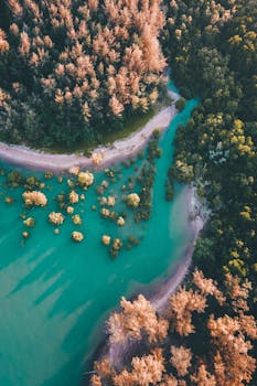 Discover the tranquility of an aqua lagoon surrounded by lush forest from an aerial perspective.