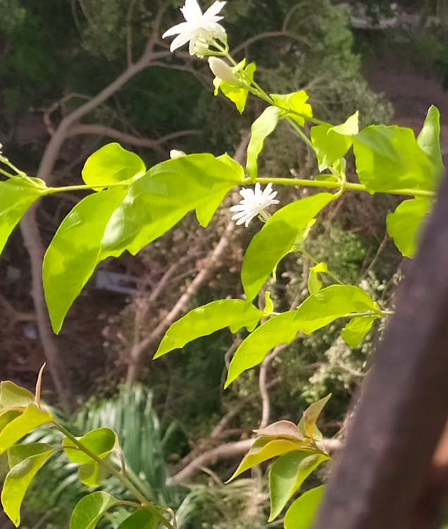 Çeşitli bisiklet yedek parçaları ve aksesuarları