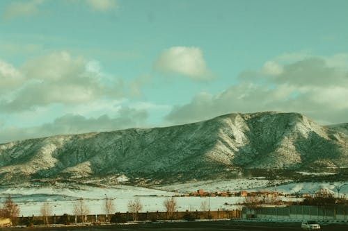 ağaç, arazi, barışçıl içeren Ücretsiz stok fotoğraf