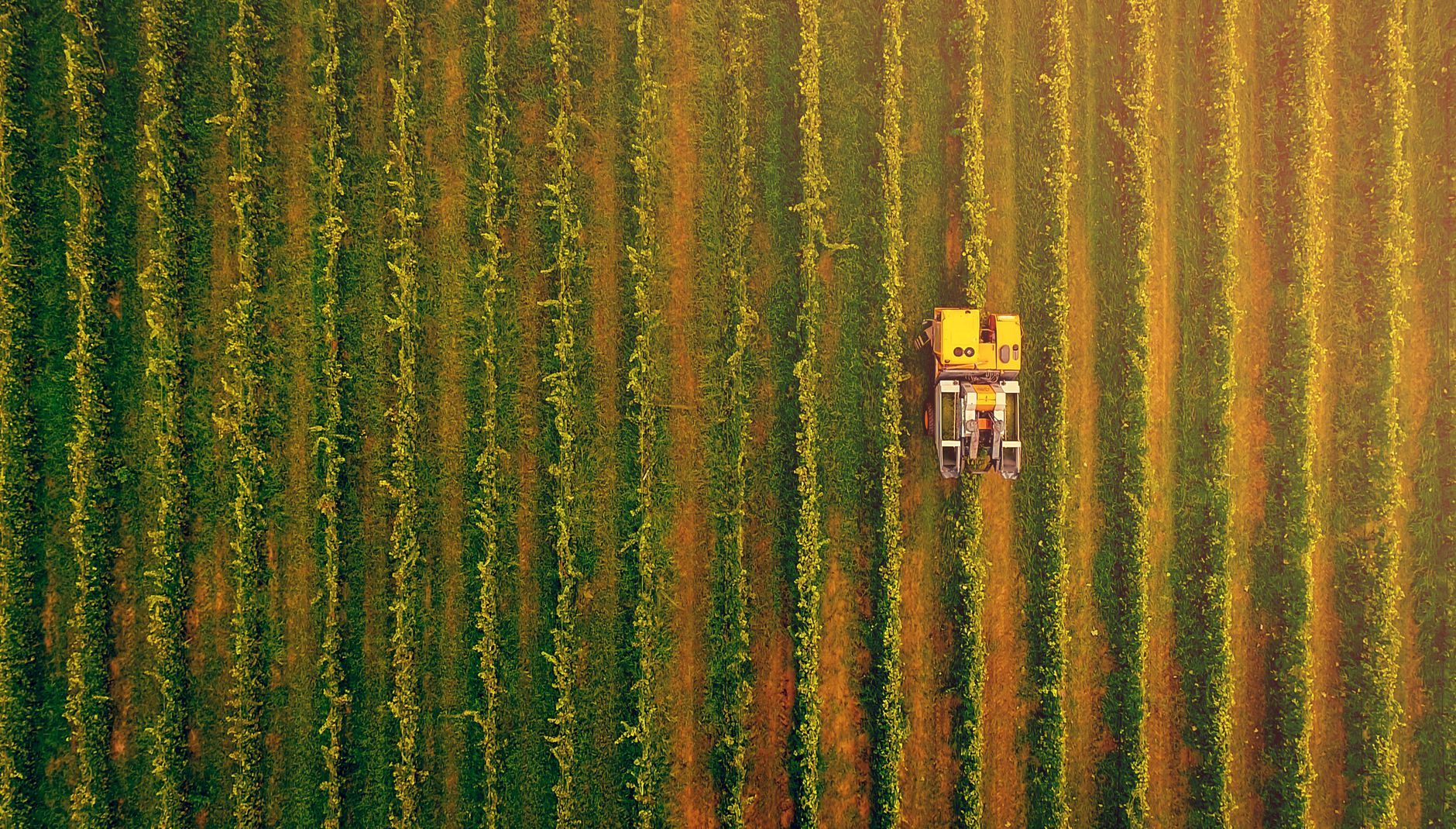 Carbon Robotics Crosses $100M Revenue on AI Laser-Weeding Platform