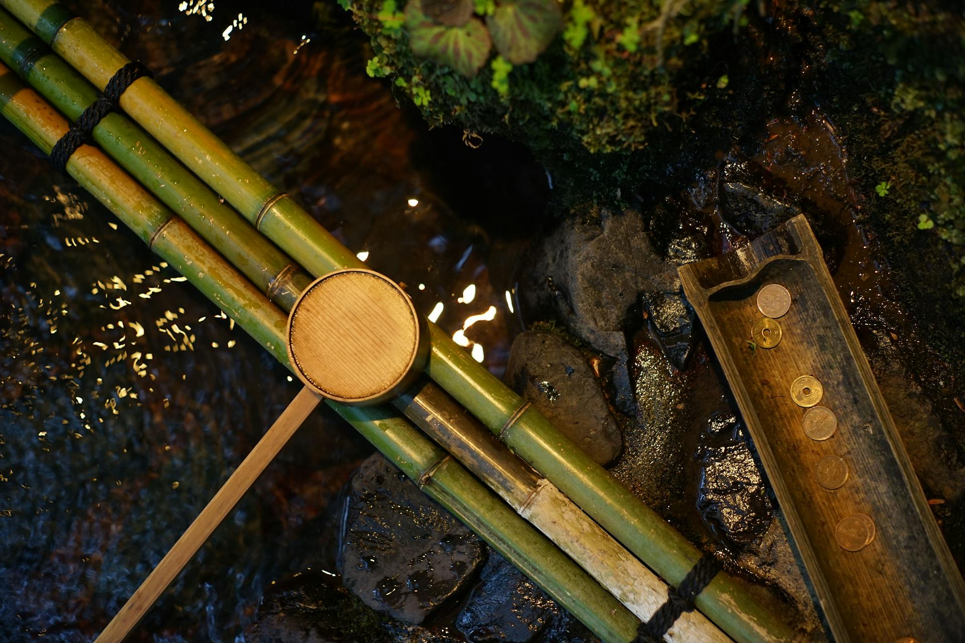 Serene bamboo water feature with flowing stream and coins in Kyoto, Japan.