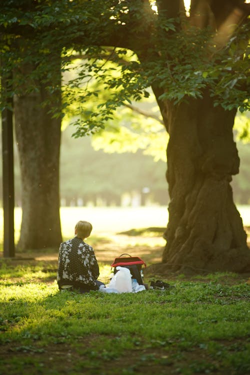 Free Person Sitting on Grass in Park and Having Picnic Stock Photo