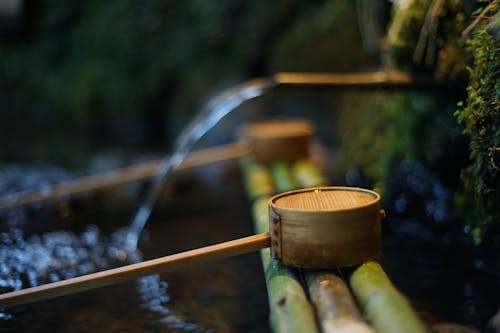 Natural spring with clean water near bamboo pipes and wooden dippers in summer park