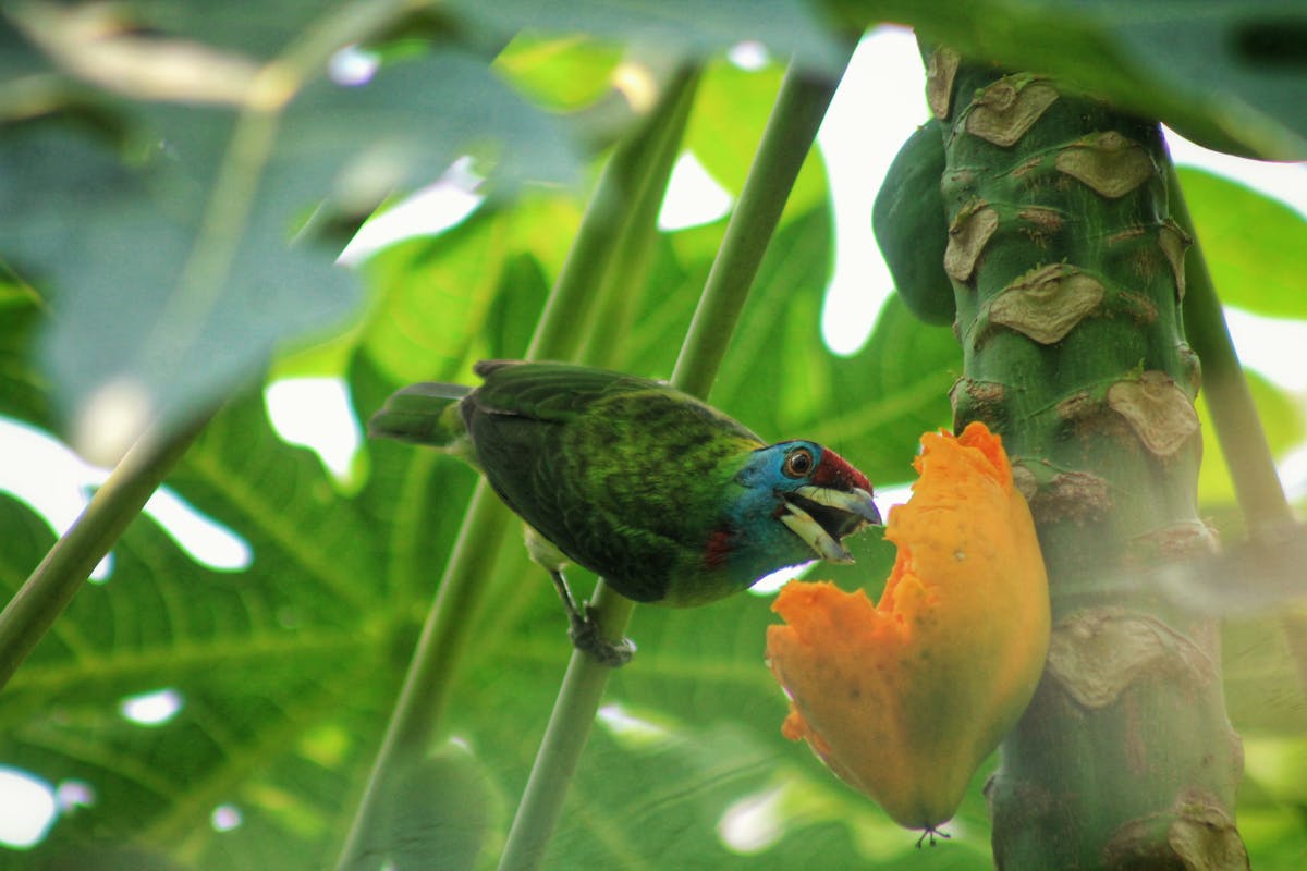 Student studying at a desk with laptop and notebook in a calm workspace