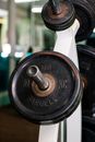 Metal plates of different weights on dumbbell rack placed in modern sports club
