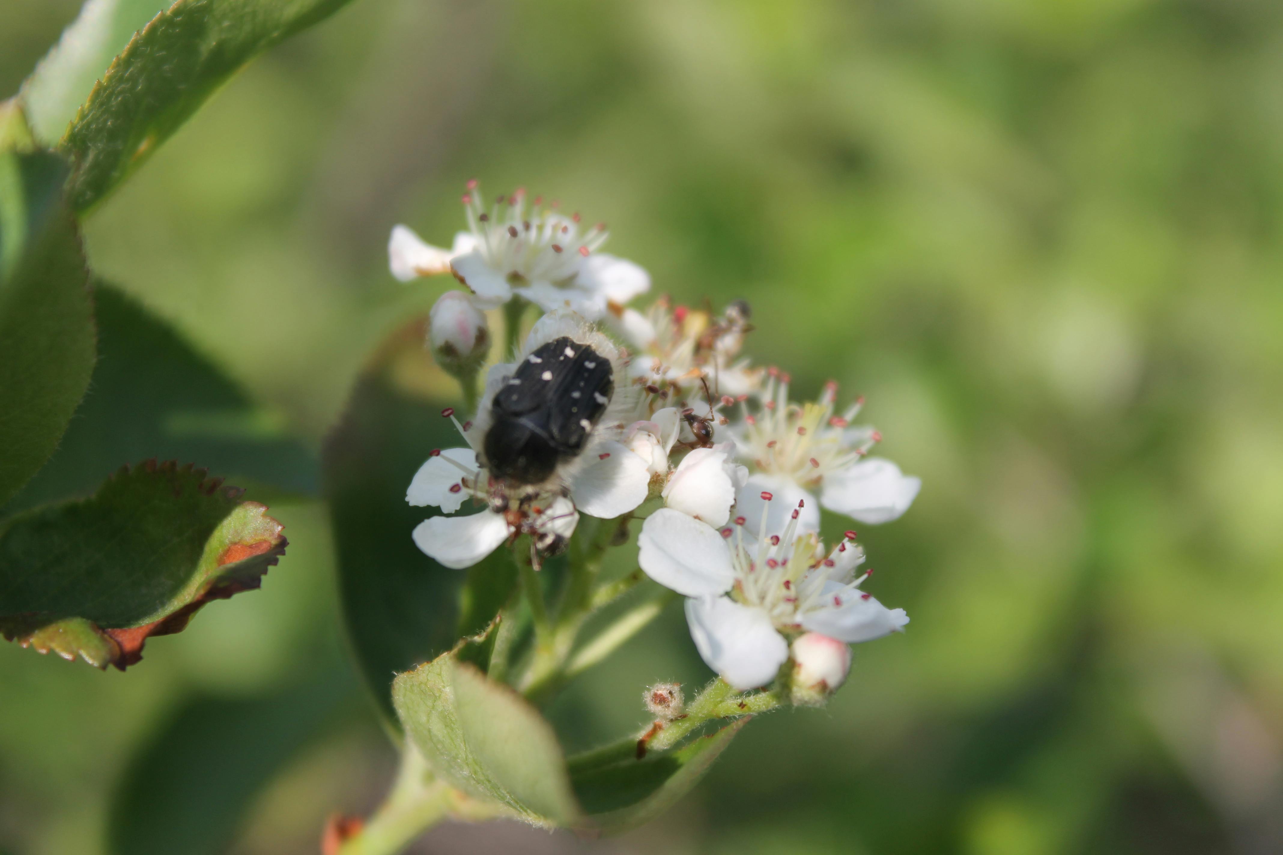 New parents holding a newborn baby in a cozy home setting