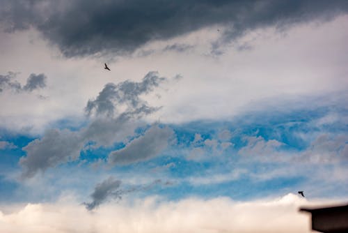 Imagine de stoc gratuită din acoperit de nori, albastru, cer