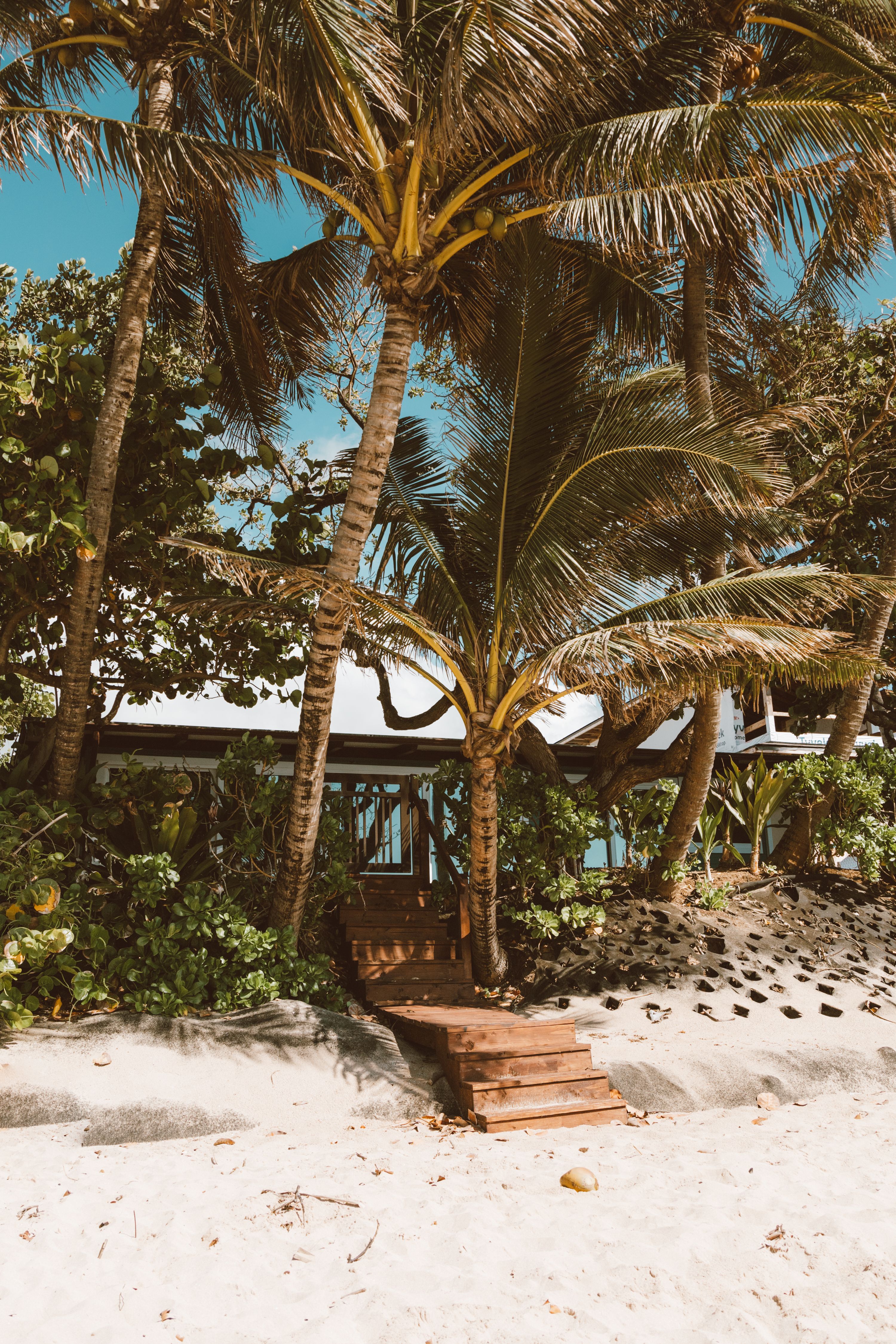 Discover a serene beach house nestled among palm trees in a tropical Hawaiian paradise.