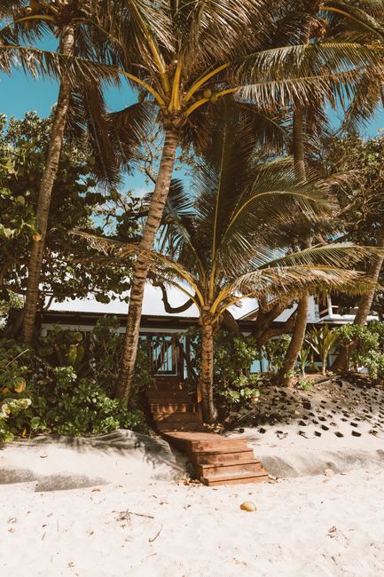 Discover a serene beach house nestled among palm trees in a tropical Hawaiian paradise.