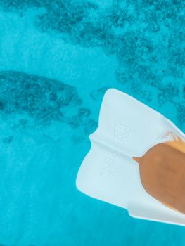通过浮潜，可以探索夏威夷充满活力的海底世界