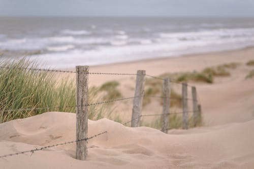 Free stock photo of duinen, golven, herfst