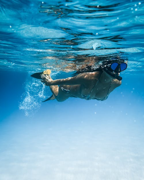 คลังภาพถ่ายฟรี ของ การถ่ายภาพใต้น้ำ, ดำน้ำ, ทะเล