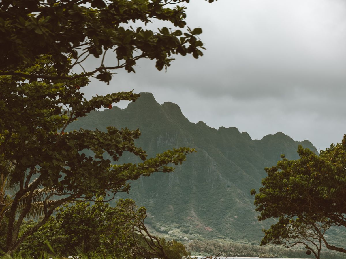 Hawaii Wellness Retreat 2