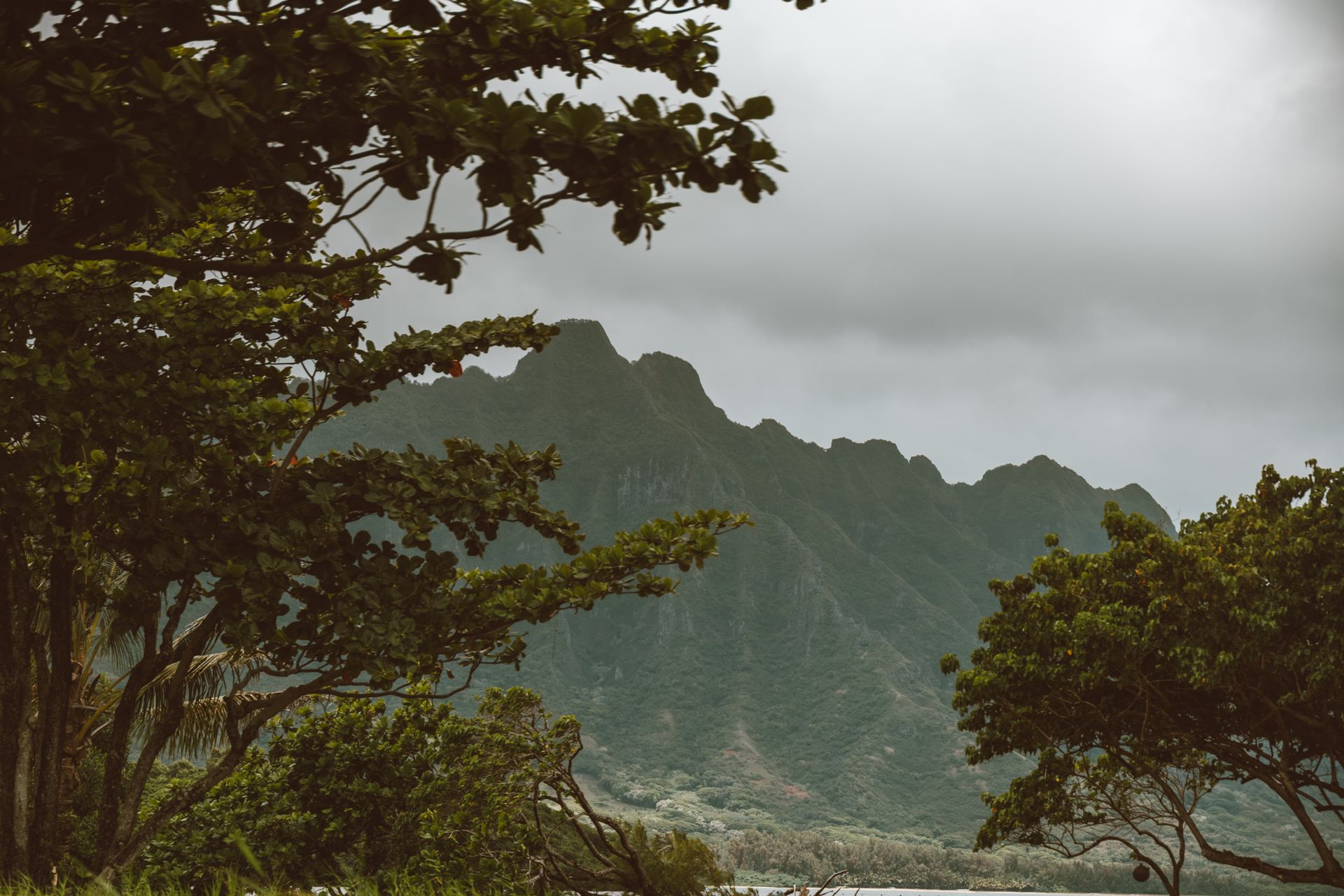 Dramatic view of Oahu's green mountains framed by lush foliage and cloudy sky.