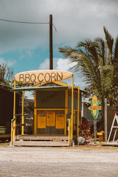 Charming BBQ corn stand surrounded by palm trees in Honolulu.