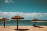 夏威夷海滩宁静宜人，棕榈伞与温柔的波浪构成壮丽景色