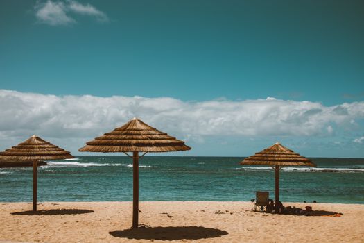 夏威夷海滩宁静宜人，棕榈伞与温柔的波浪构成壮丽景色