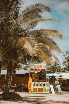 Street view of a vibrant food truck serving Korean BBQ in Honolulu under palm trees.