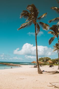 Beautiful tropical beach scene with palm trees and clear blue sky, perfect for relaxation.