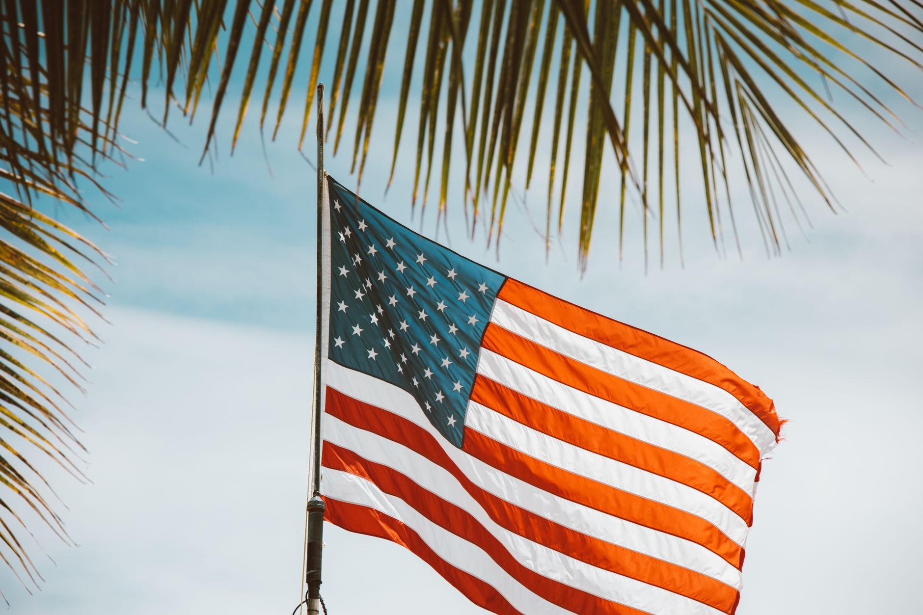 American flag waving with palm leaves in Hawaii, showcasing tropical patriotism.