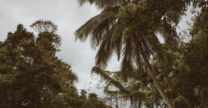 Sao Tomé : Guide Voyage Complet 2026