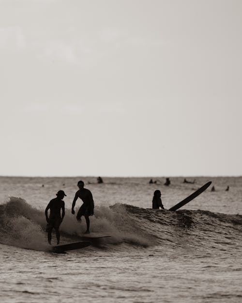 グレースケール, サーファー, サーフィンの無料の写真素材