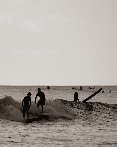 Grayscale Photo of People Surfing