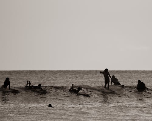 Grayscale Photo of People Surfing