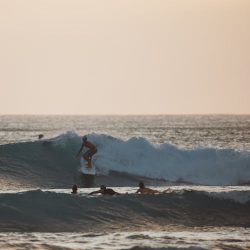 Fotos de stock gratuitas de chaval, chico surfero, dice adiós