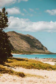 Idyllic beach scene in Hawaii with mountains and a tranquil ocean backdrop.