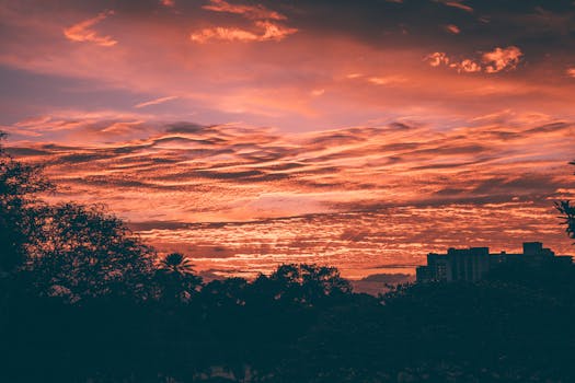 Captivating sunset with vibrant sky over silhouetted trees and buildings in Hawaii.