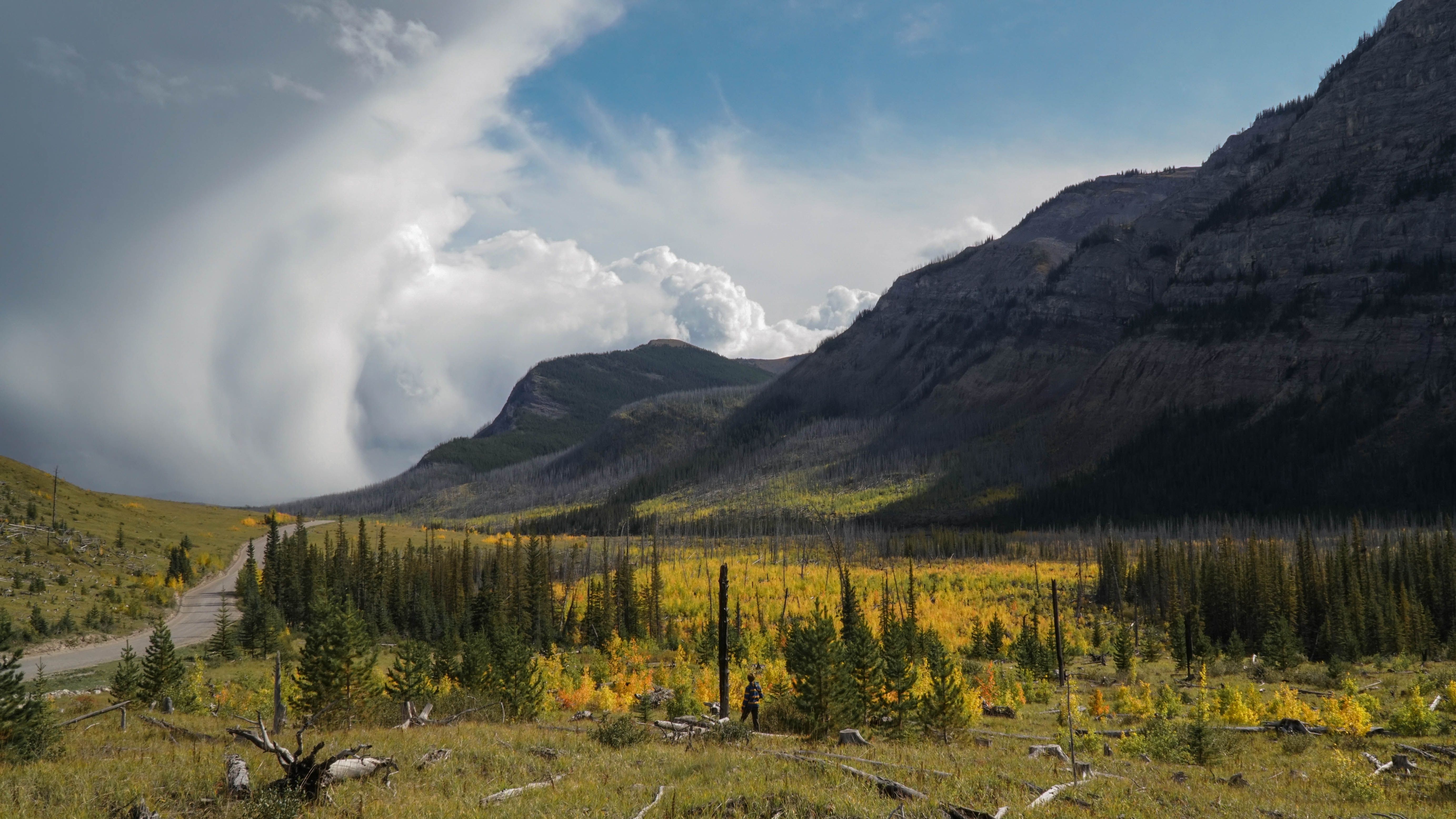 Breathtaking autumn view of Canadian Rockies with storm clouds and vibrant foliage.