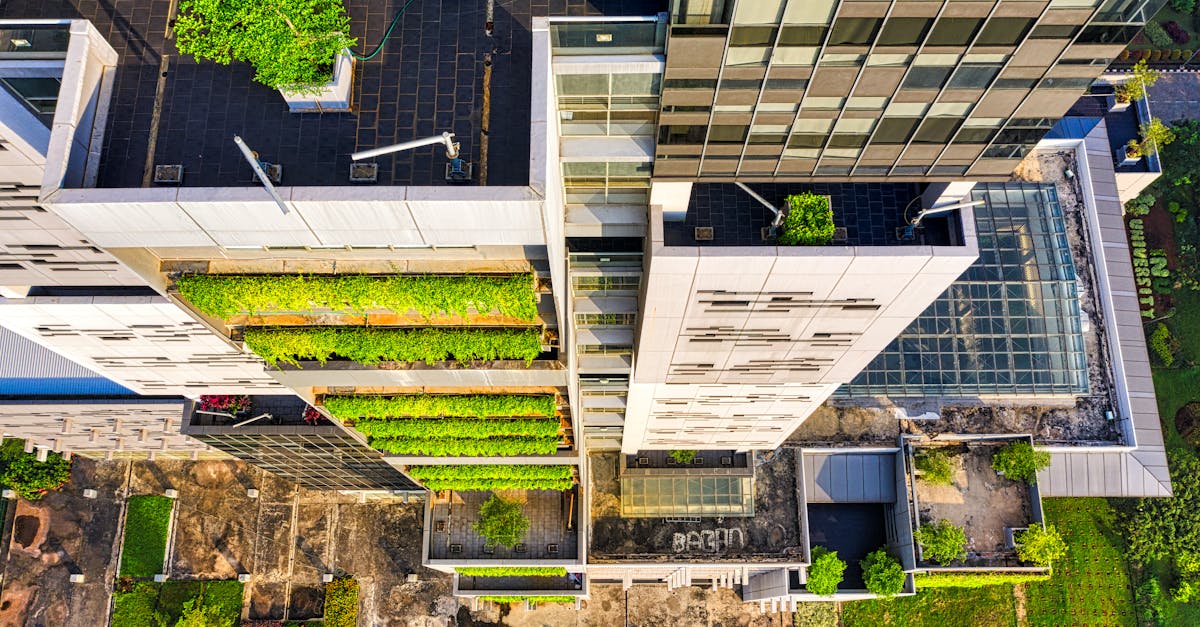 遠雄國際中心躍上綠建築舞台,卻隱藏哪些挑戰與機遇?