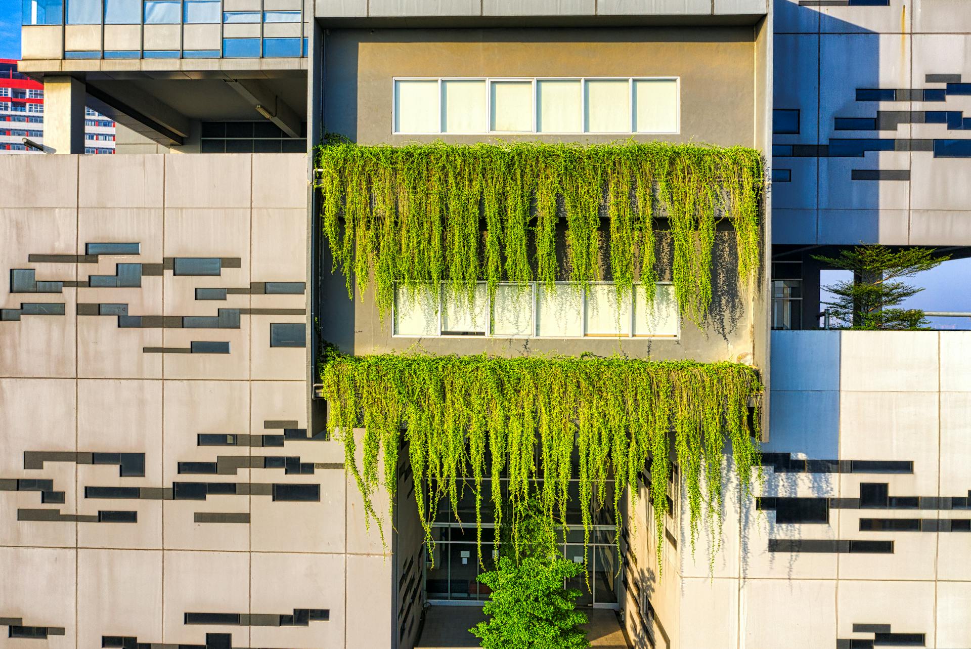 Green Plants on White Concrete Building