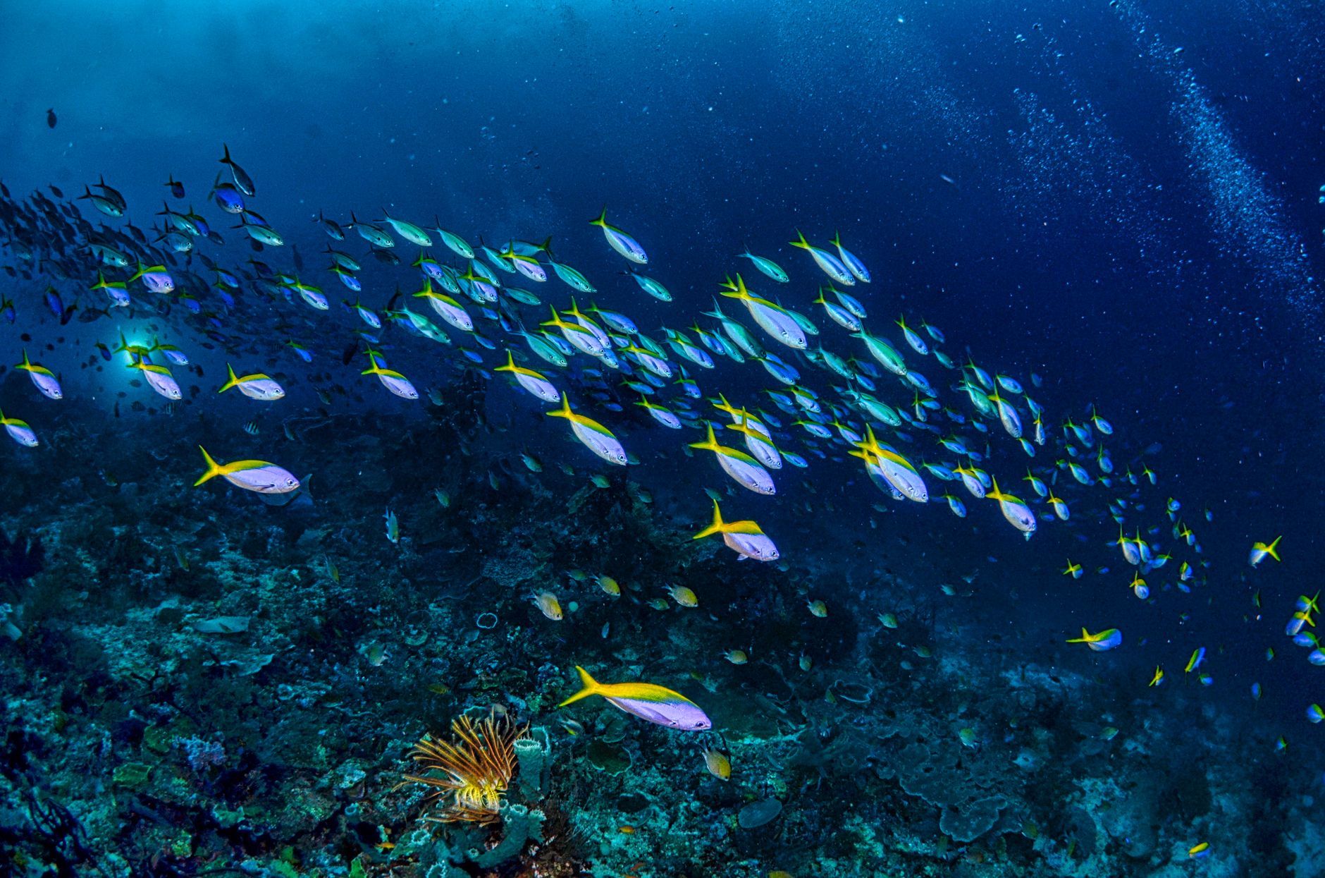 AUKUS Partners Collaborate On Autonomous Undersea Vehicles To Counter Indo-Pacific Threats