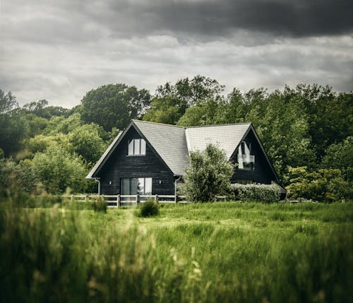 Exterior of cozy wooden house located on grassy field surrounded by lush green forest against cloudy gray sky