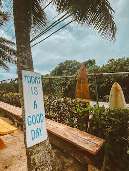 Sunny day in Waialua, Hawaii with palm trees and surfboards creating a vibrant tropical vibe.