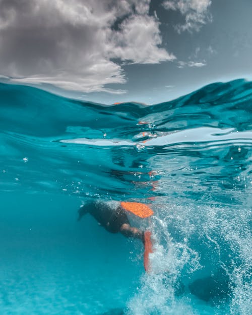 人们在水下游泳, 夏威夷, 水下摄影 的 免费素材图片