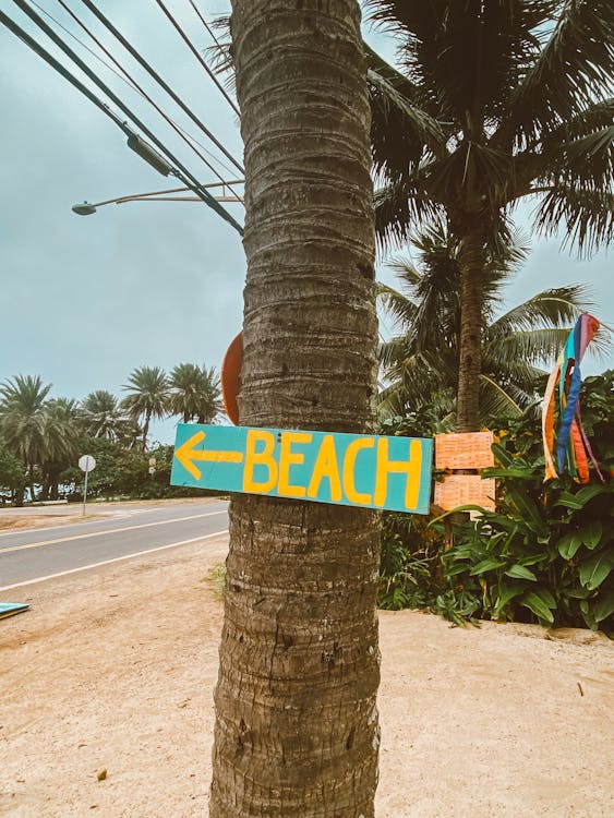 Blue and Yellow Text Sign on Brown Tree Trunk