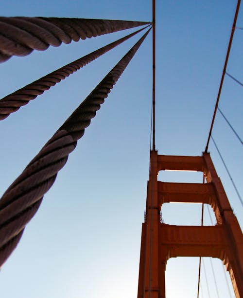 Darmowe zdjęcie z galerii z bay bridge, hollywood, kalifornia